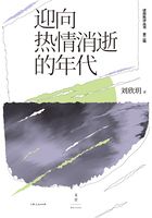 述而批评丛书·第二辑：迎向热情消逝的年代在线阅读