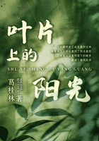 叶片上的阳光在线阅读