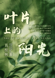 葉片上的陽光