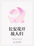 长安花开故人归在线阅读