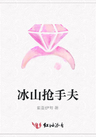 冰山抢手夫在线阅读
