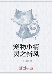 寵物小精靈之新風