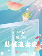 裴少的悲催追妻史在线阅读