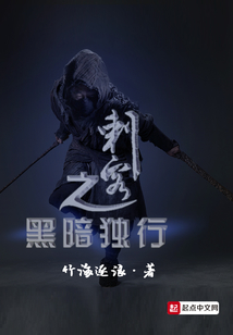 刺客之黑暗独行
