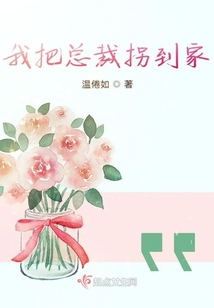 我把總裁拐到家