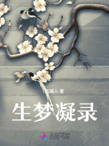 生夢凝錄