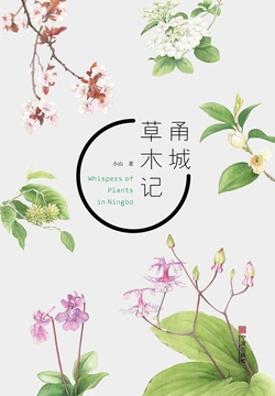 甬城草木记 封面
