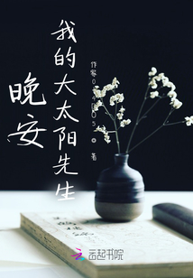 晚安我的大太陽先生