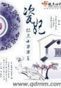 瓷妃