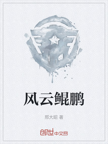 風云鯤鵬