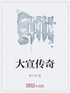 大宣传奇在线阅读