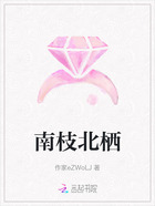 南枝北栖在线阅读