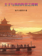 主子与我的阵营之背刺在线阅读