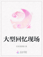 大型回忆现场在线阅读
