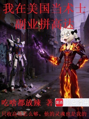 我在美国当术士，副业拼高达在线阅读