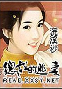 总裁的逃妻