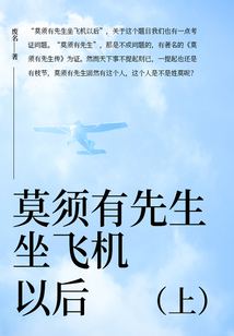 莫須有先生坐飛機以后（上）
