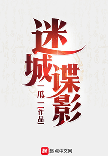 迷城谍影
