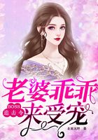 BOSS追击令：老婆乖乖来受宠在线阅读