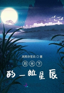 月光下的一粒星辰
