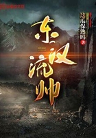 东汉流帅