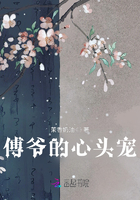 傅爷的心头宠