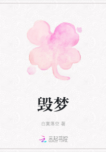 毀夢