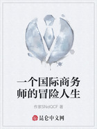 一个国际商务师的冒险人生在线阅读