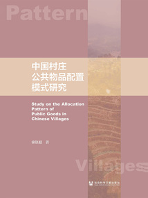 中国村庄公共物品配置模式研究