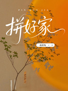 拼好家在线阅读
