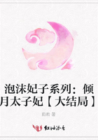 泡沫妃子系列：傾月太子妃【大結局】在線閱讀