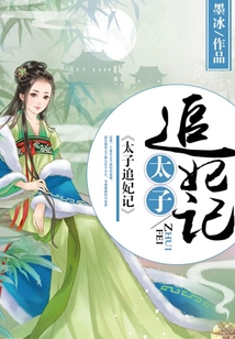 太子追妃記