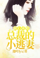 偷心成癮：總裁的小逃妻在線閱讀
