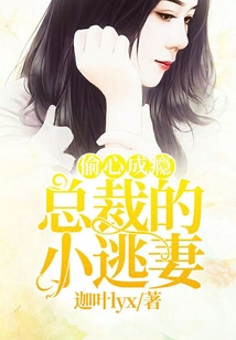 偷心成癮：總裁的小逃妻