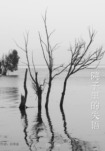 院子里的失語