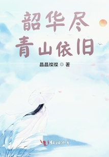 韶華盡青山依舊