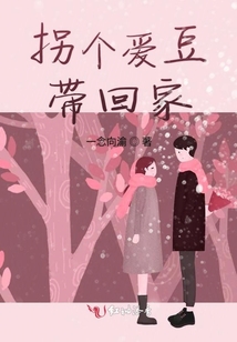 拐個(gè)愛豆帶回家