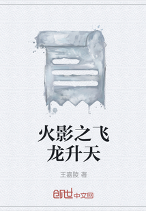 火影之飞龙升天