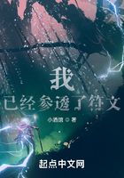 我，已經參透了符文在線閱讀