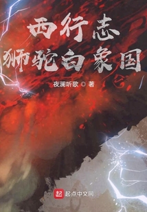 西行志:狮驼白象国