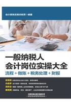 一般纳税人会计岗位实操大全(流程+做账+税务处理+财报)在线阅读