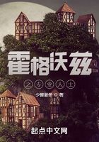 霍格沃茲之異常專家在線閱讀