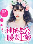 神秘老公暖妻上瘾在线阅读