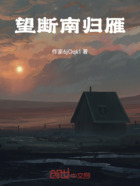 望断南归雁在线阅读
