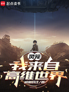 靈籠：我來自高維世界在線閱讀