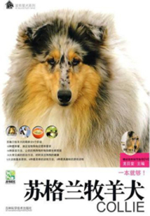 蘇格蘭牧羊犬