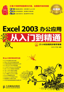 Excel 2003辦公應用實戰從入門到精通(超值版)