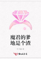 魔君的爹地是个渣在线阅读