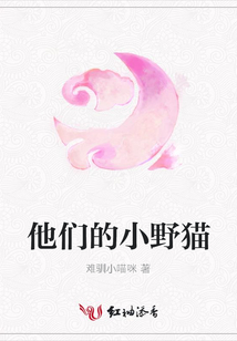 他們的小野貓