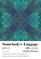 Somebody's Luggage 谁的行礼（II）（英文版）在线阅读